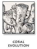 Coral Reef Evolution